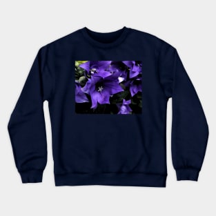 Anticipation Crewneck Sweatshirt